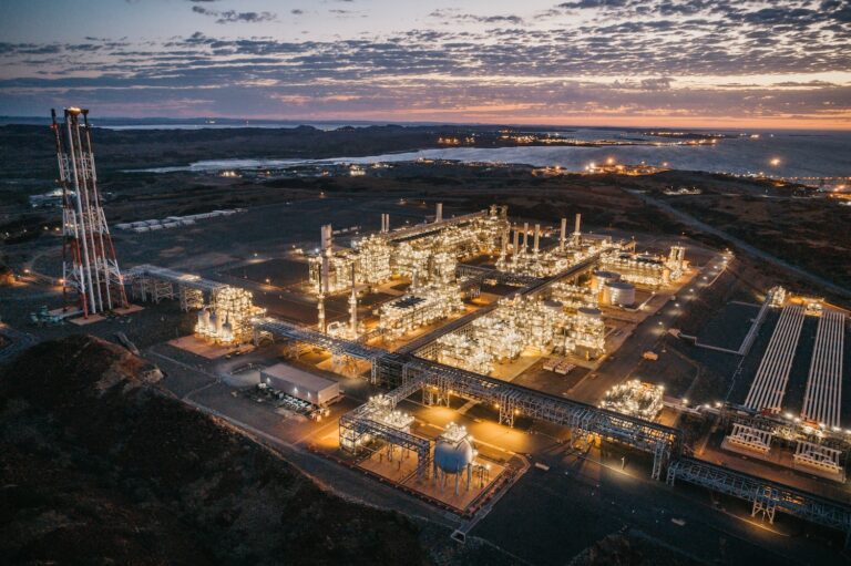 Woodsideplant